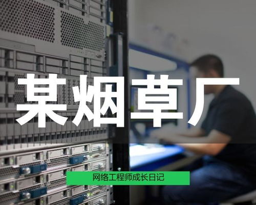 网络工程师成长日记347 记某卷烟厂网络改造工程的实践与思考